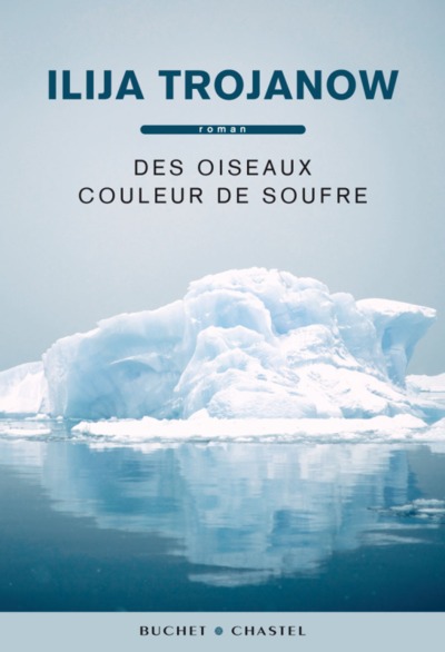 DES OISEAUX COULEUR DE SOUFRE (9782283025680-front-cover)