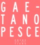 GAETANO PESCE (9782283028292-front-cover)