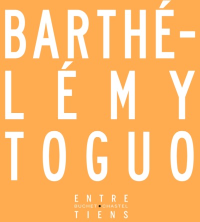 Barthélemy Toguo (9782283026977-front-cover)