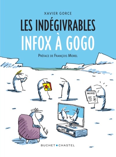 Les Indégivrables Infox à gogo (9782283035801-front-cover)