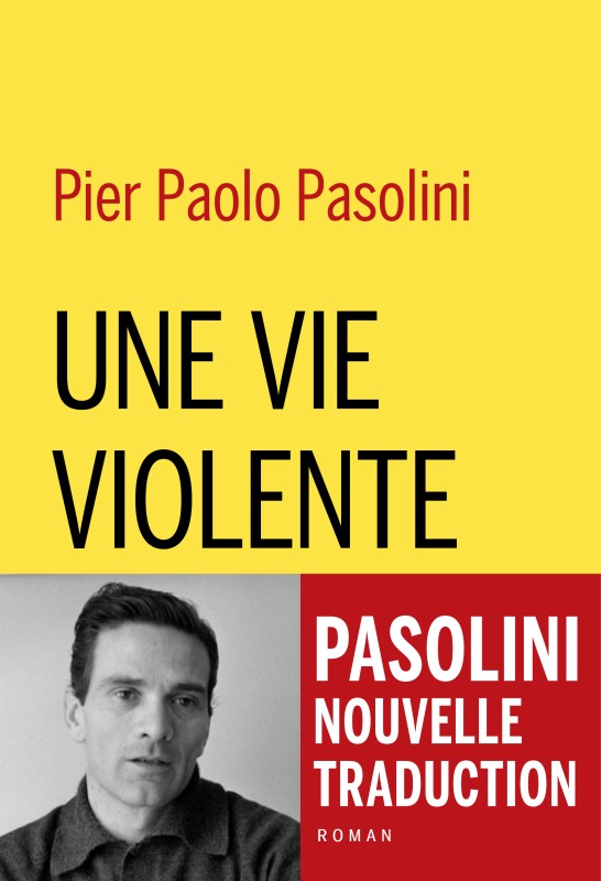 Une vie violente (9782283028711-front-cover)