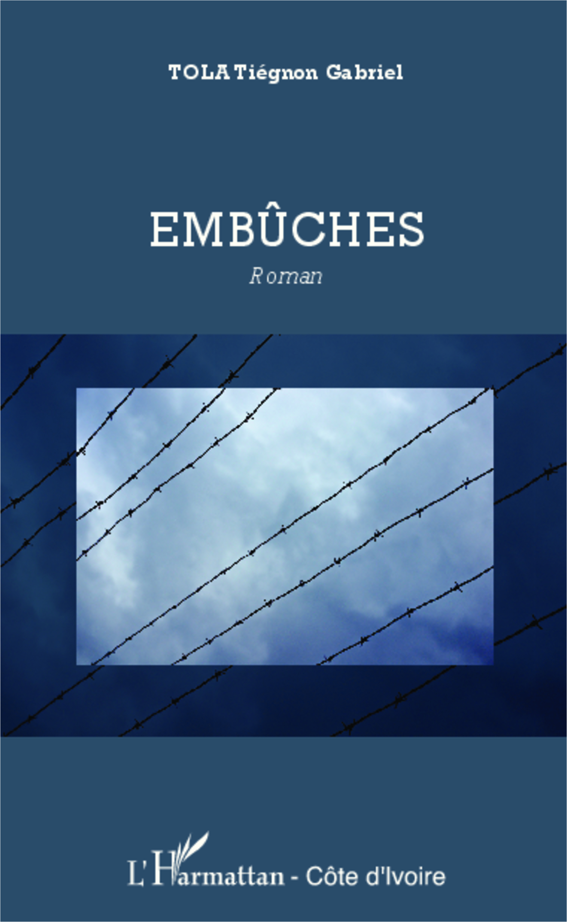 Embûches, Roman (9782336293318-front-cover)