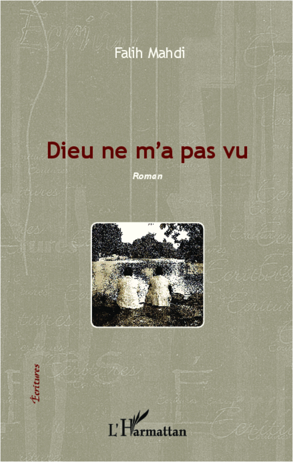 Dieu ne m'a pas vu, Roman (9782336290942-front-cover)