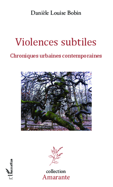 Violences subtiles, Chroniques urbaines contemporaines (9782336290485-front-cover)