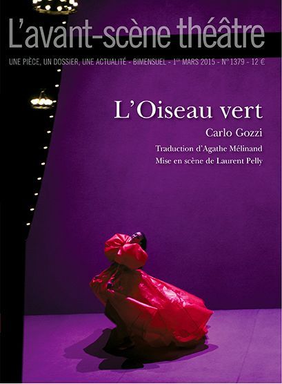 L' Oiseau Vert (9782749813172-front-cover)