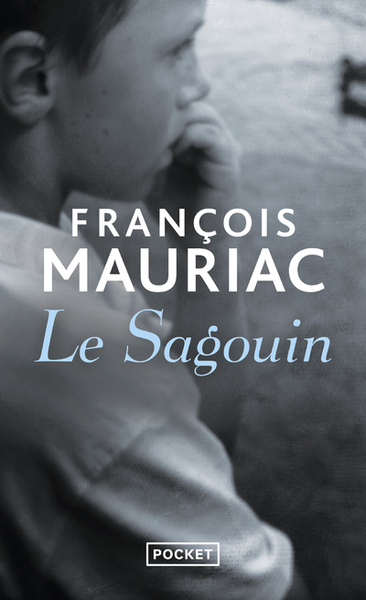 Le sagouin (9782266023139-front-cover)