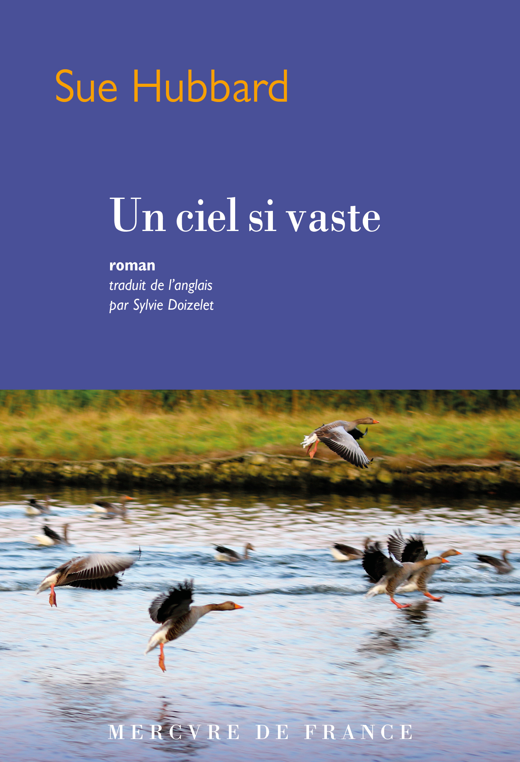 Un ciel si vaste (9782715260313-front-cover)