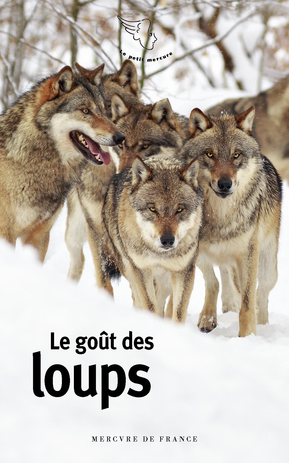 Le goût des loups (9782715265974-front-cover)