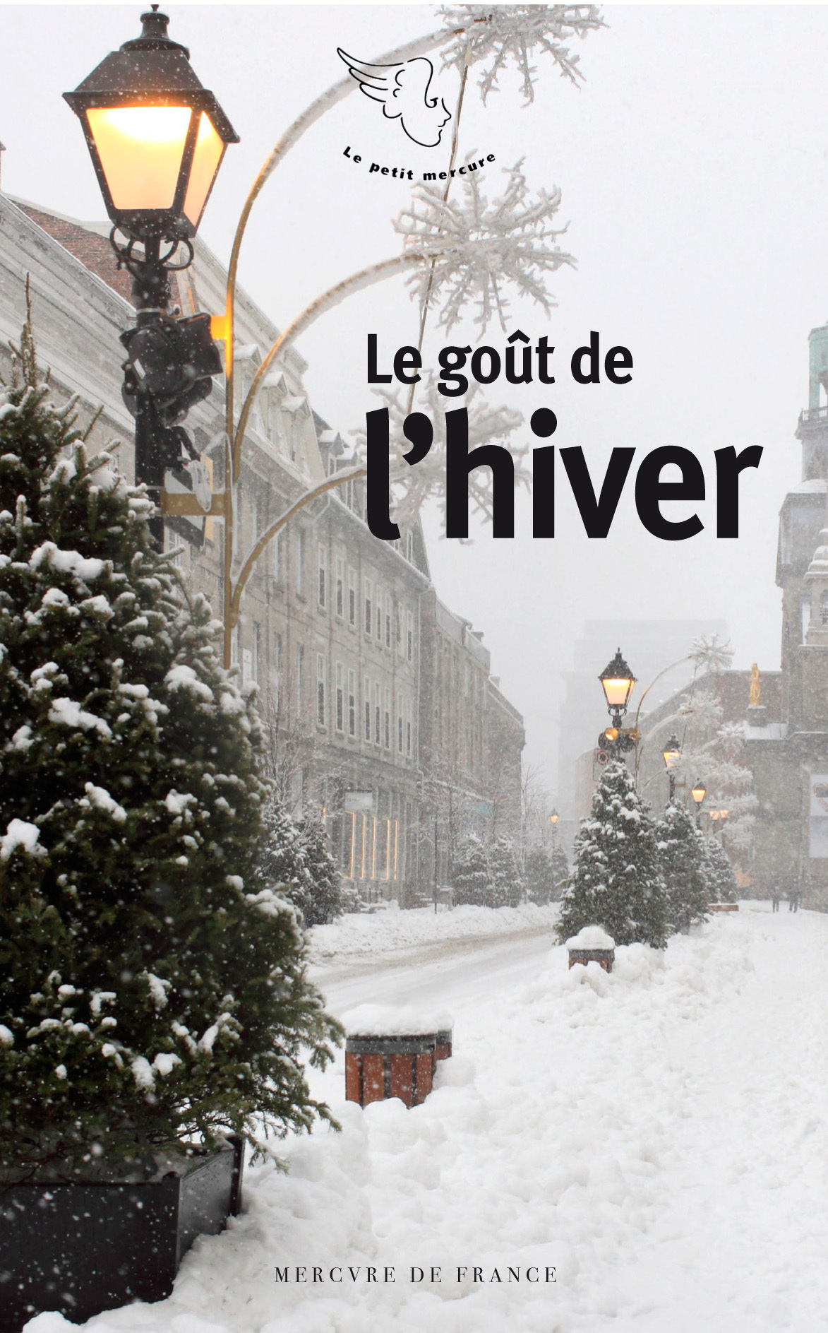 Le goût de l'hiver (9782715255999-front-cover)