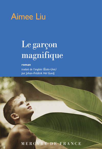 Le garçon magnifique (9782715255746-front-cover)