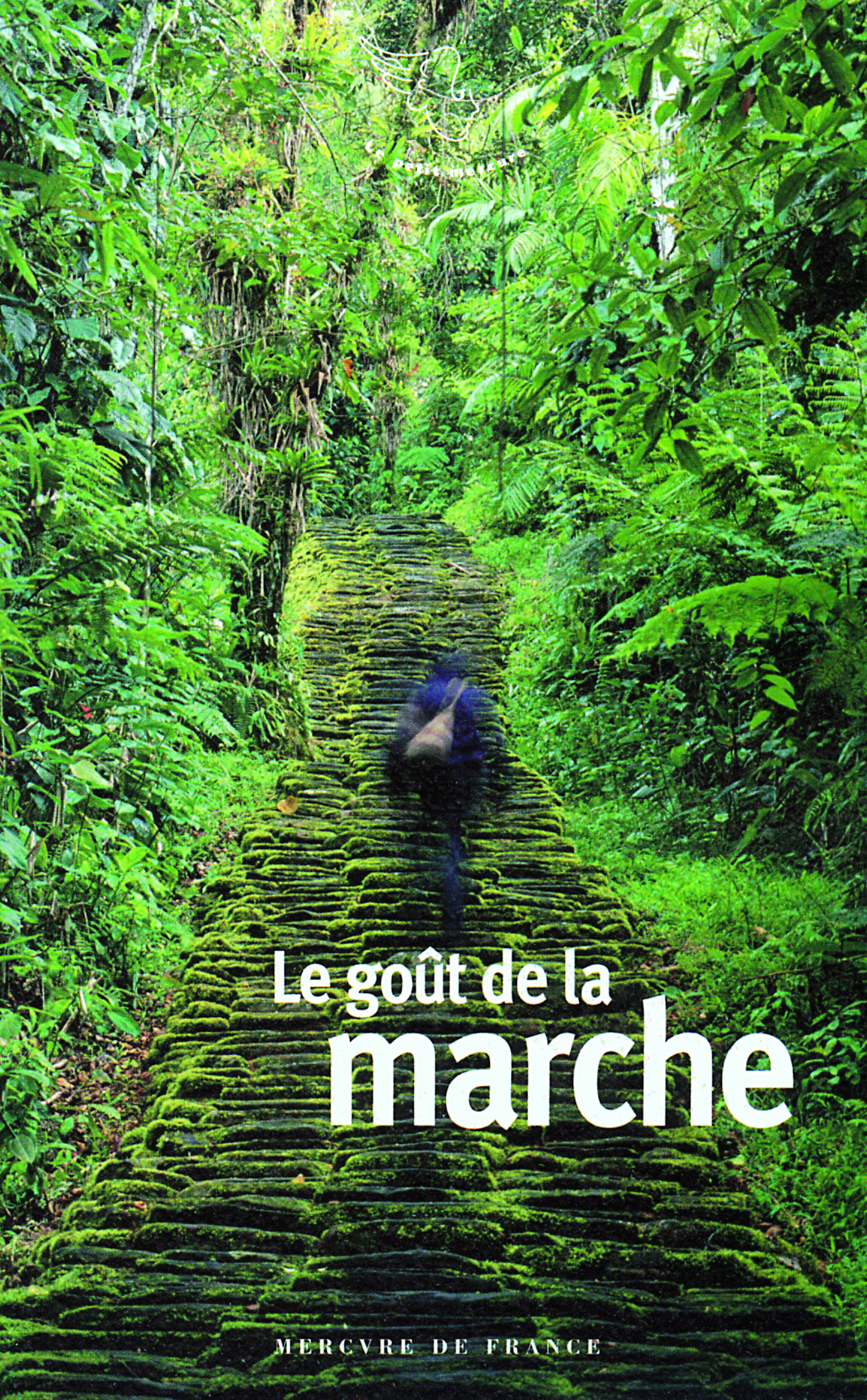 Le goût de la marche (9782715228122-front-cover)