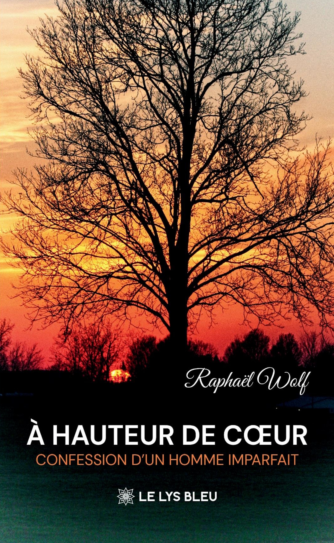 À hauteur de coeur, Confession d'un homme imparfait (9791044038005-front-cover)