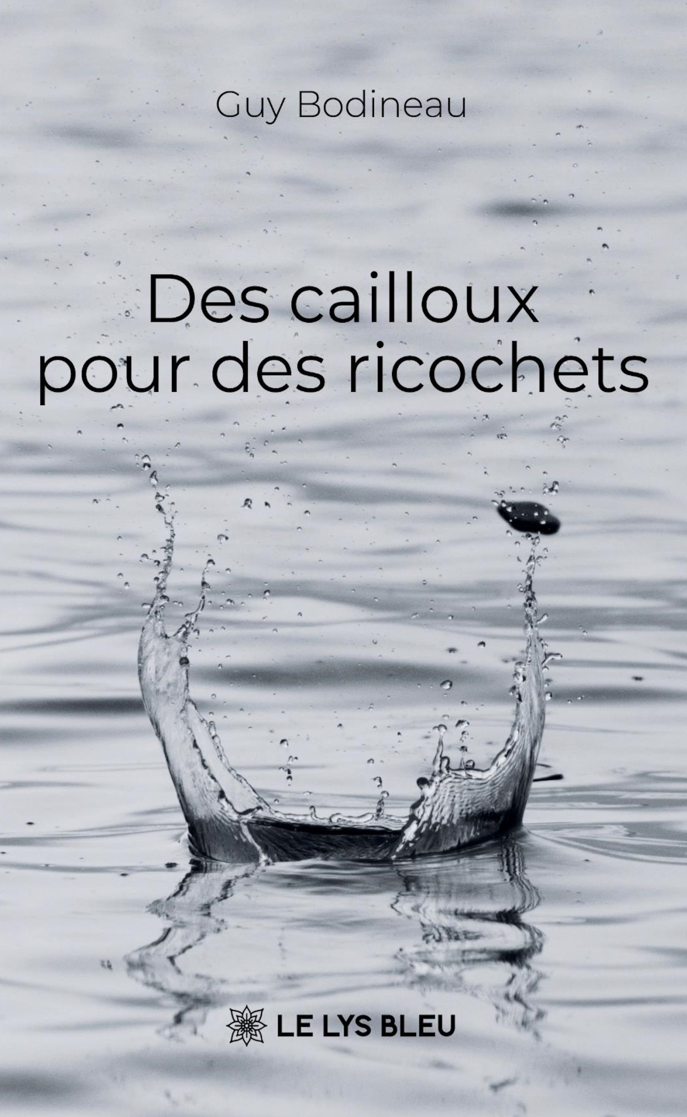 Des cailloux pour des ricochets (9791044039538-front-cover)