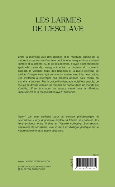 Les larmes de l'esclave (9791044039415-back-cover)