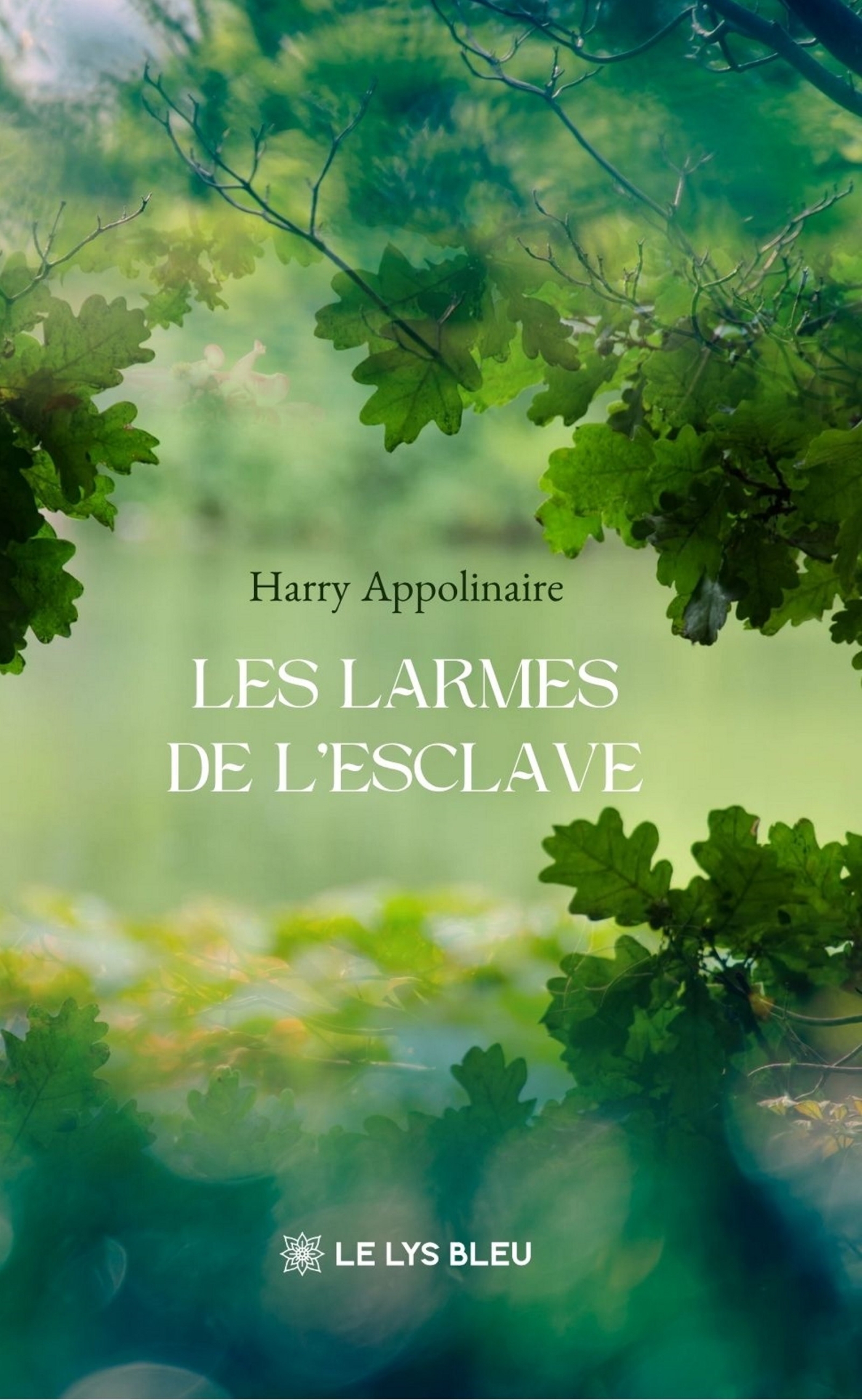 Les larmes de l'esclave (9791044039415-front-cover)