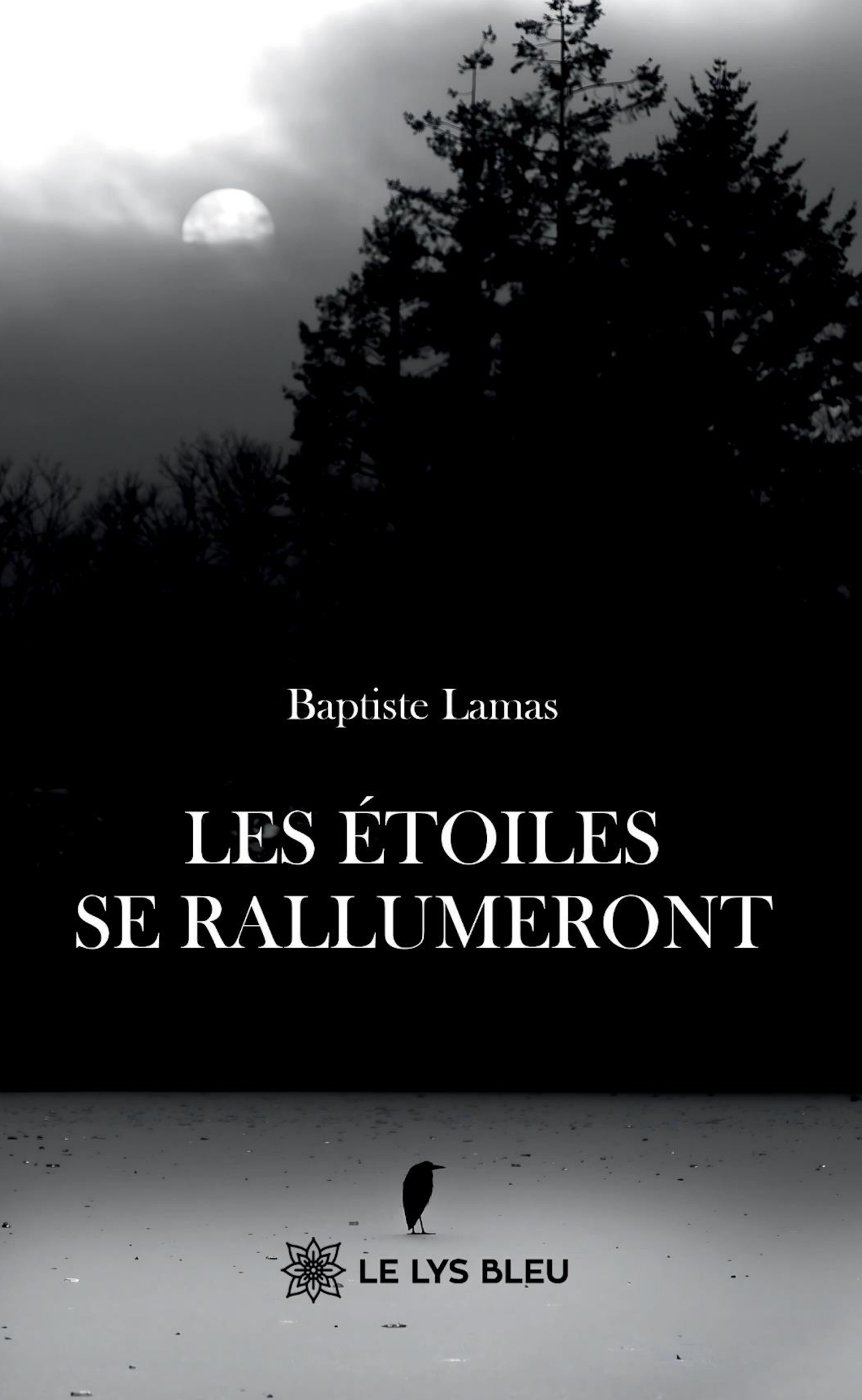 Les étoiles se rallumeront (9791044030535-front-cover)