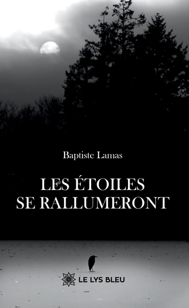 Les étoiles se rallumeront (9791044030535-front-cover)