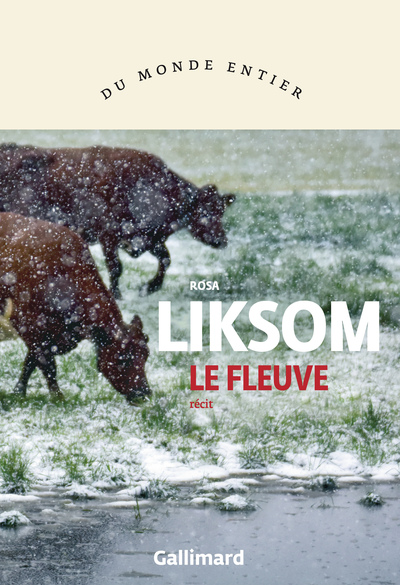 Le fleuve (9782072982170-front-cover)