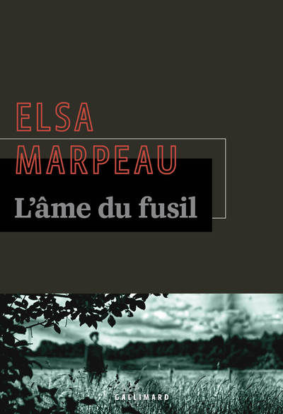 L'âme du fusil (9782072925573-front-cover)