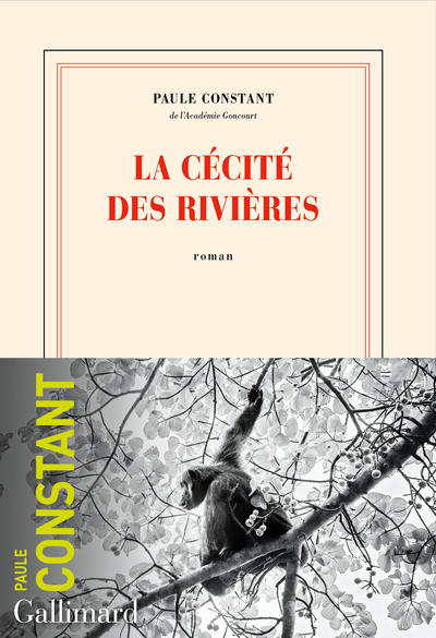La cécité des rivières (9782072969676-front-cover)