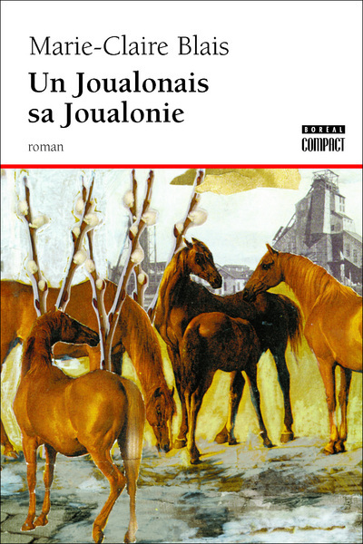 Un Joualonais sa Joualonie (9782890529755-front-cover)