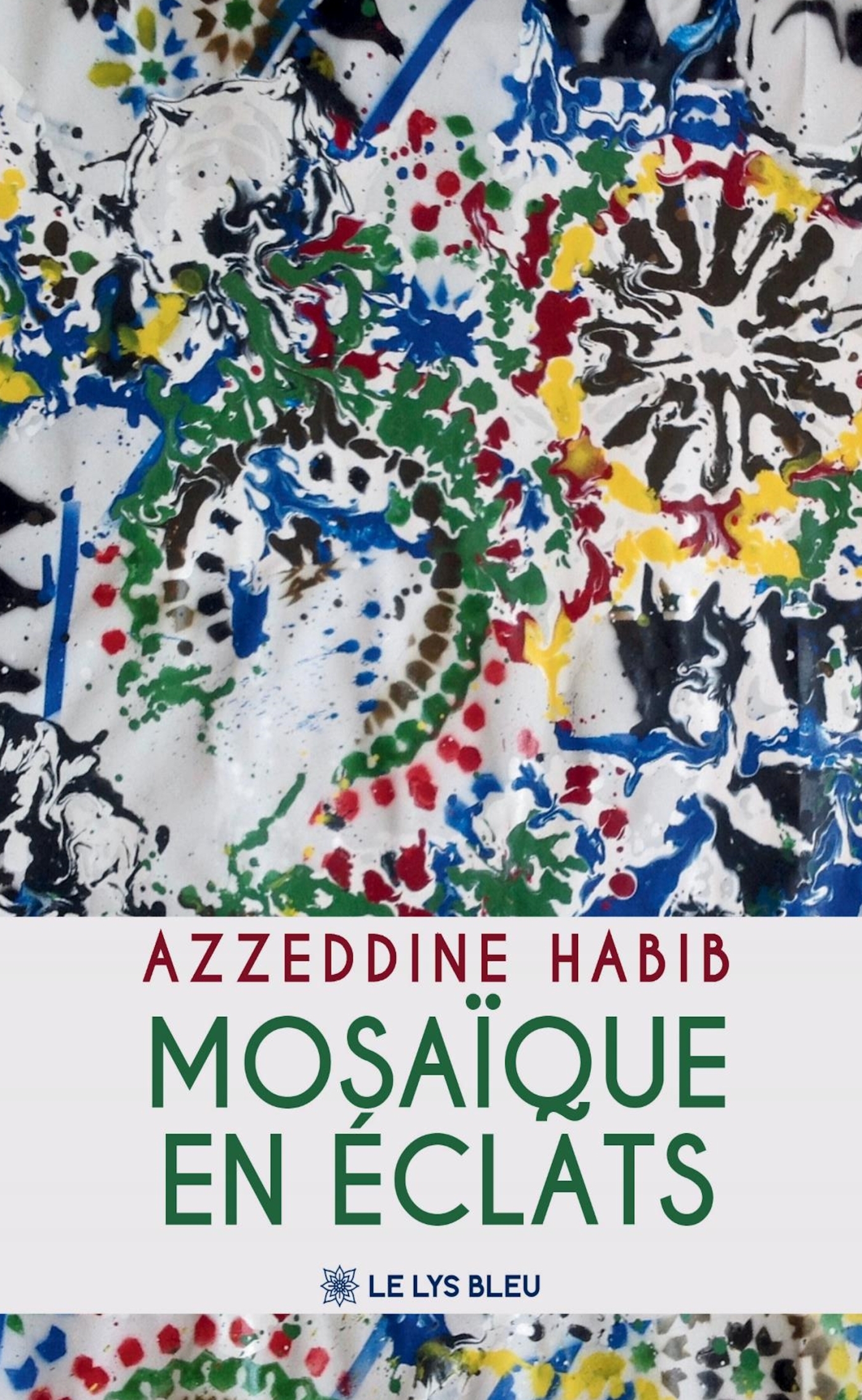 Mosaïque en éclats (9791042298746-front-cover)