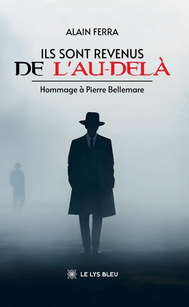 Ils sont revenus de l'au-delà (9791042299460-front-cover)