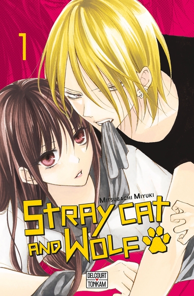 Stray cat and wolf T01 (9782413045328-front-cover)