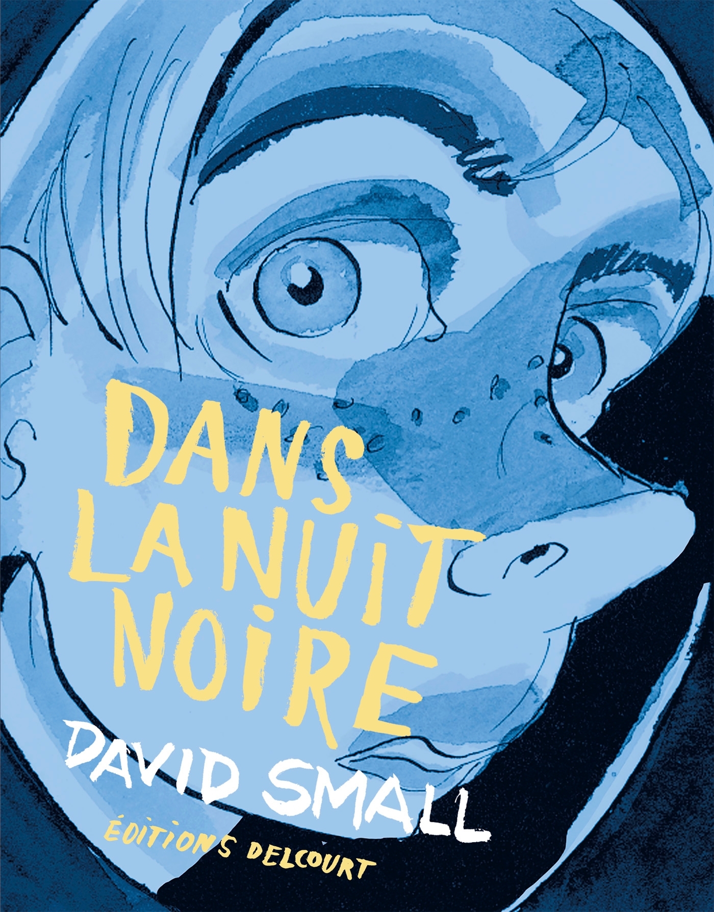 Dans la nuit noire (9782413024125-front-cover)