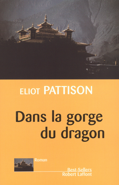 Dans la gorge du dragon (9782221093061-front-cover)