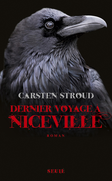 Dernier Voyage à Niceville, tome 3 (9782021045550-front-cover)