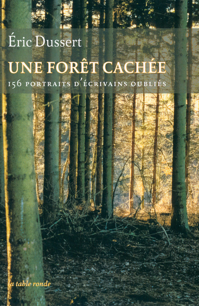 Une forêt cachée/Une autre histoire littéraire, 156 portraits d'écrivains oubliés (9782710331605-front-cover)