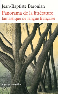Panorama de la littérature fantastique de langue française, Des origines à demain (9782710329015-front-cover)