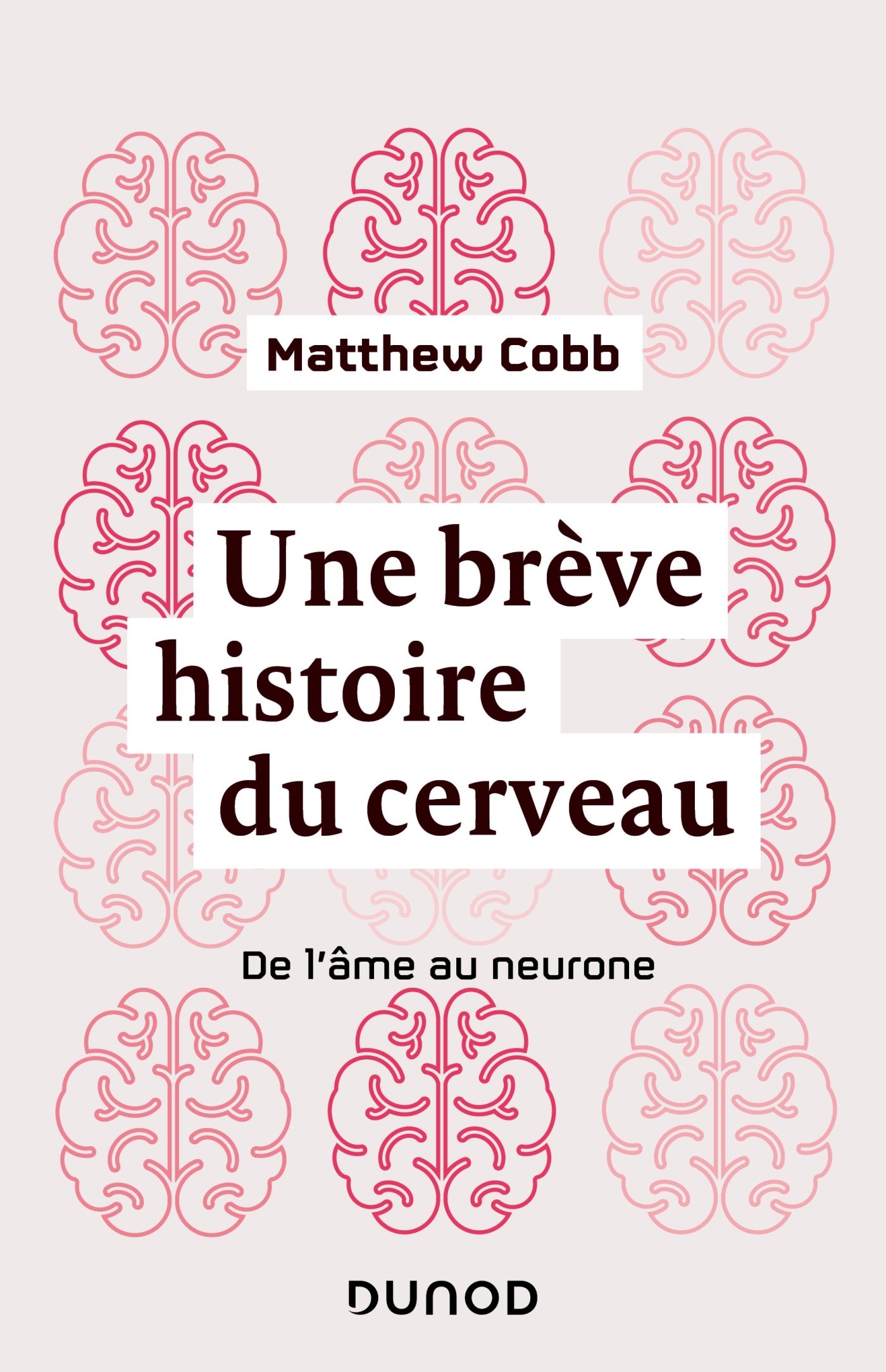 Une brève histoire du cerveau - De l'âme au neurone, De l'âme au neurone (9782100817078-front-cover)