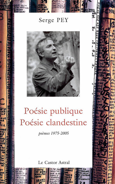 Poésie publique, poésie clandestine - poèmes 1975-2001 (9782859206611-front-cover)