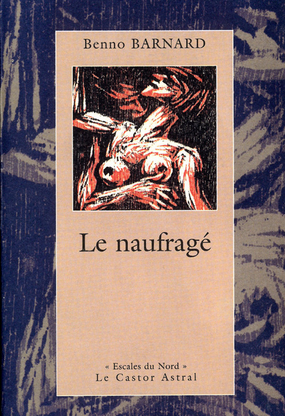 Le Naufragé (9782859205126-front-cover)