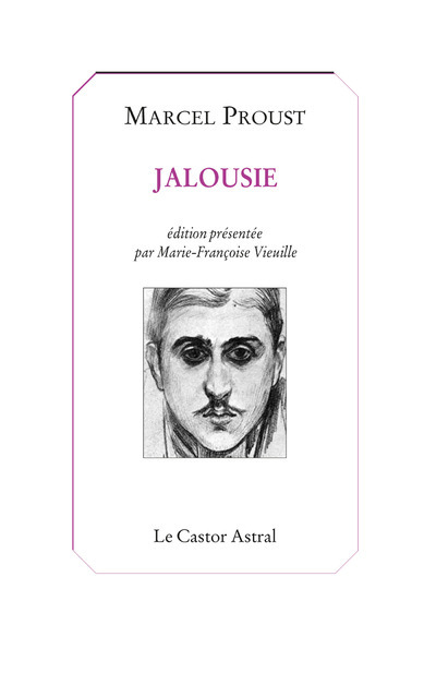 Jalousie (9782859207182-front-cover)