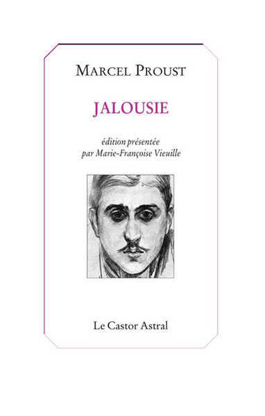 Jalousie (9782859207182-front-cover)