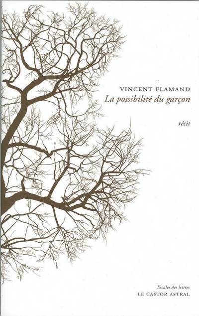 La possibilité du garçon (9782859209360-front-cover)