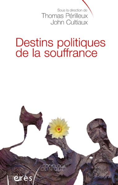 Destins politiques de la souffrance intervention sociale, justice, travail (9782749211367-front-cover)