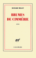 Brumes de Cimmérie (9782070128105-front-cover)