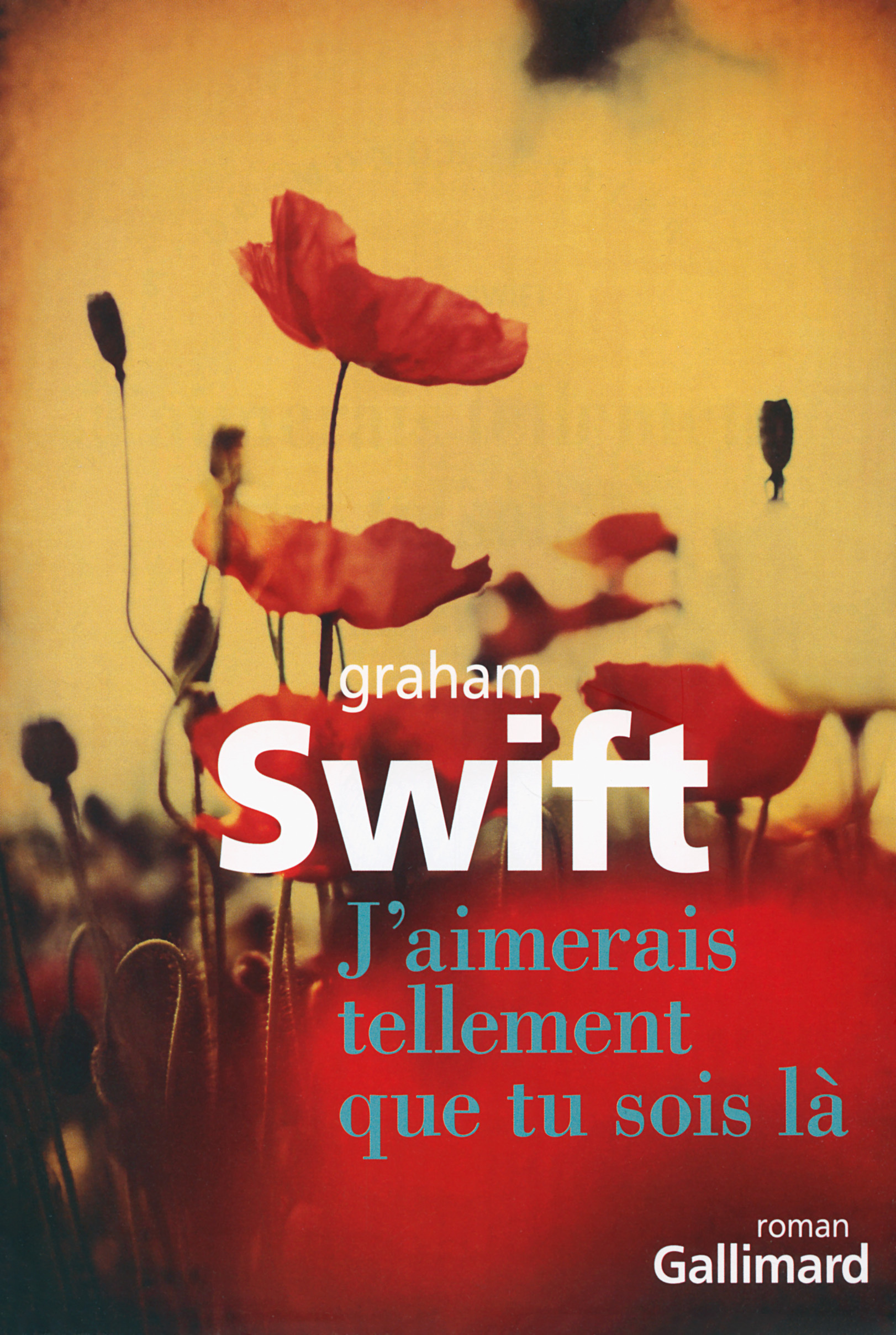 J'aimerais tellement que tu sois là (9782070134427-front-cover)