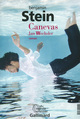 Canevas, Jan Wechsler - Amnon Zichroni (9782070141500-front-cover)