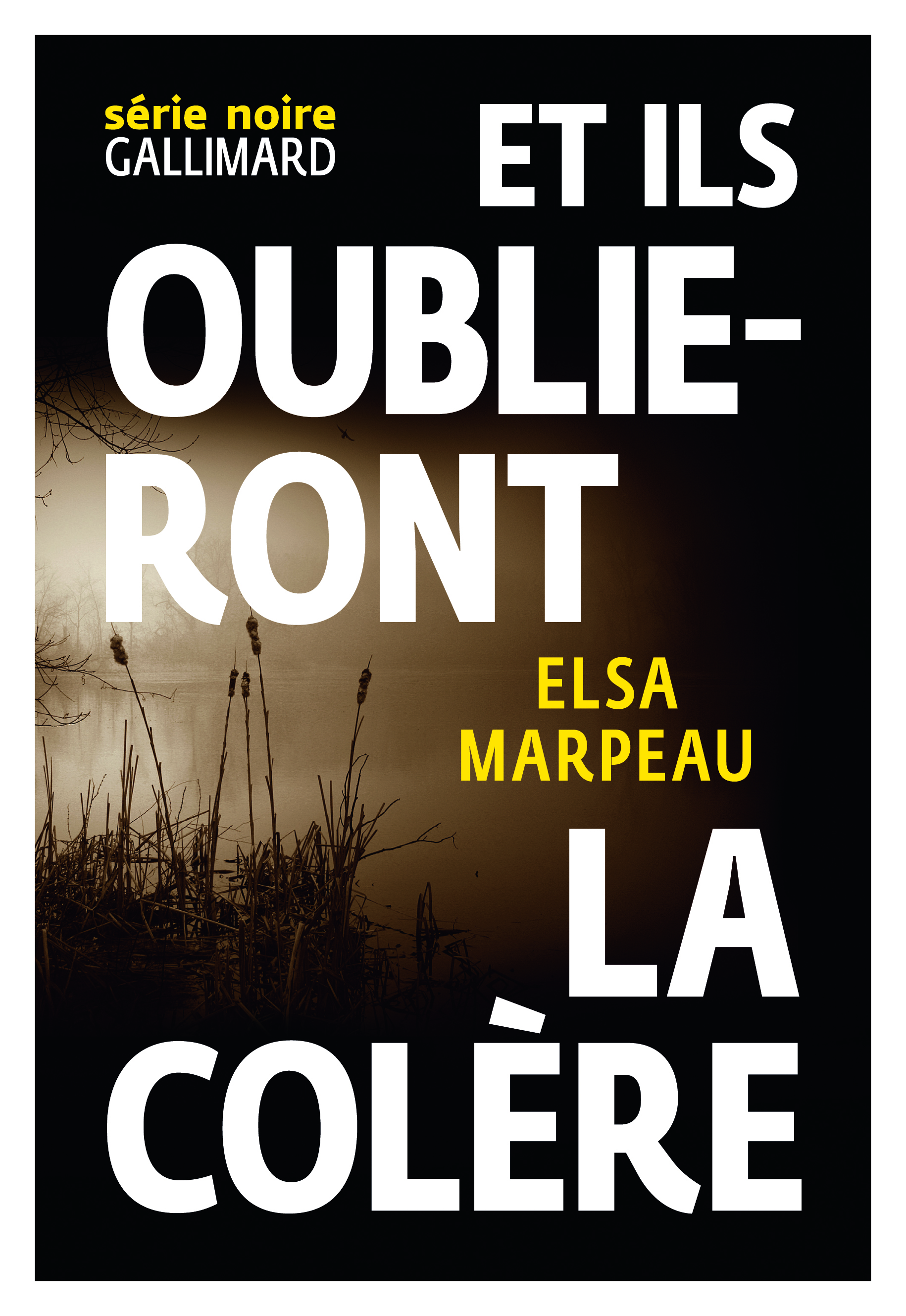 Et ils oublieront la colère (9782070148134-front-cover)