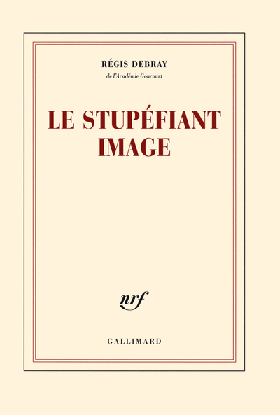 Le stupéfiant image, De la grotte Chauvet au Centre Pompidou (9782070141777-front-cover)