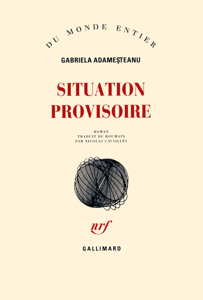 Situation provisoire (9782070136049-front-cover)