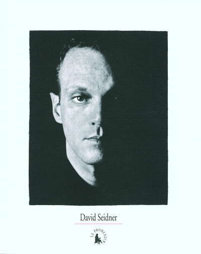 David Seidner (9782070123131-front-cover)
