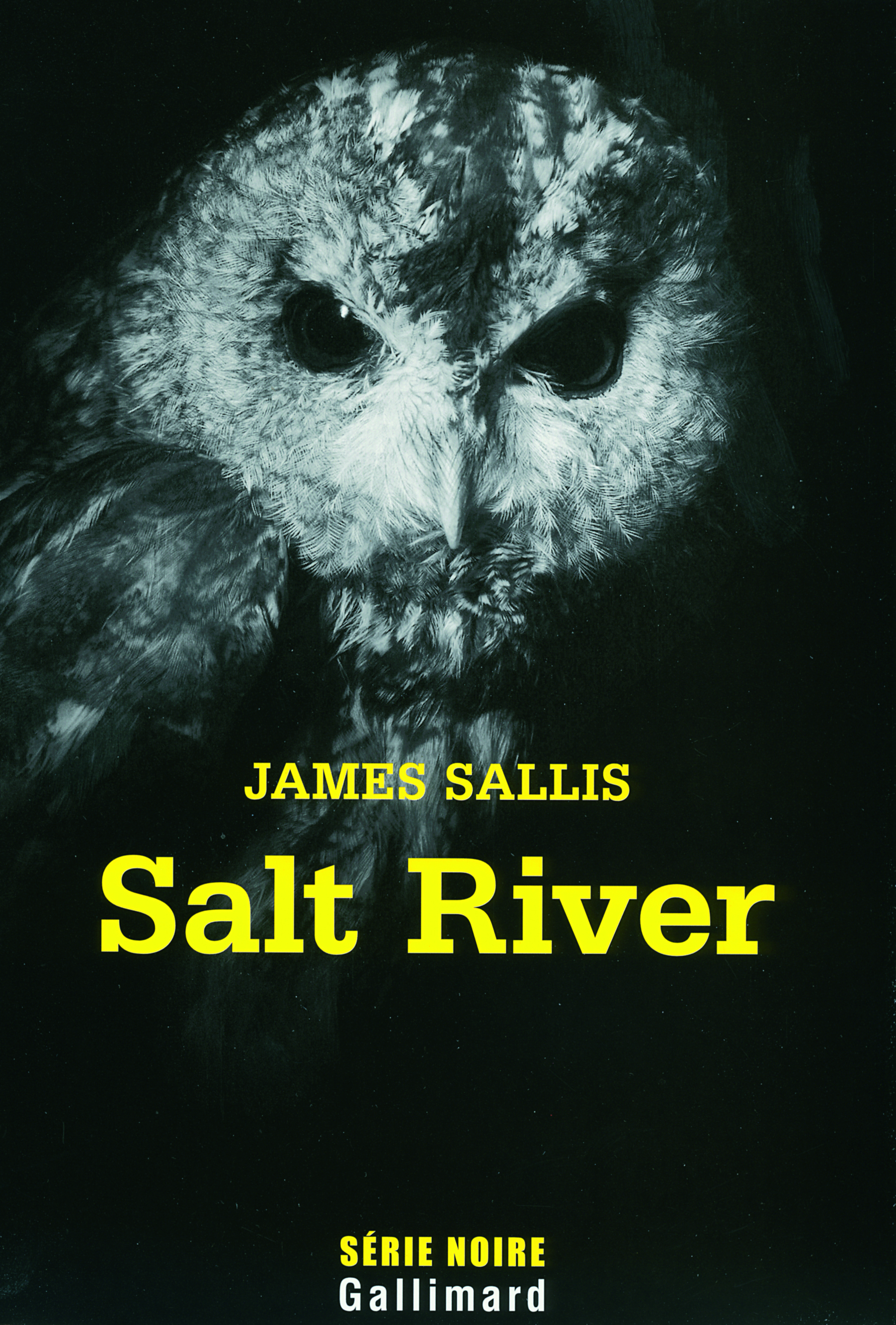 Salt River, Une enquête de John Turner (9782070122455-front-cover)