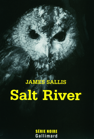 Salt River, Une enquête de John Turner (9782070122455-front-cover)