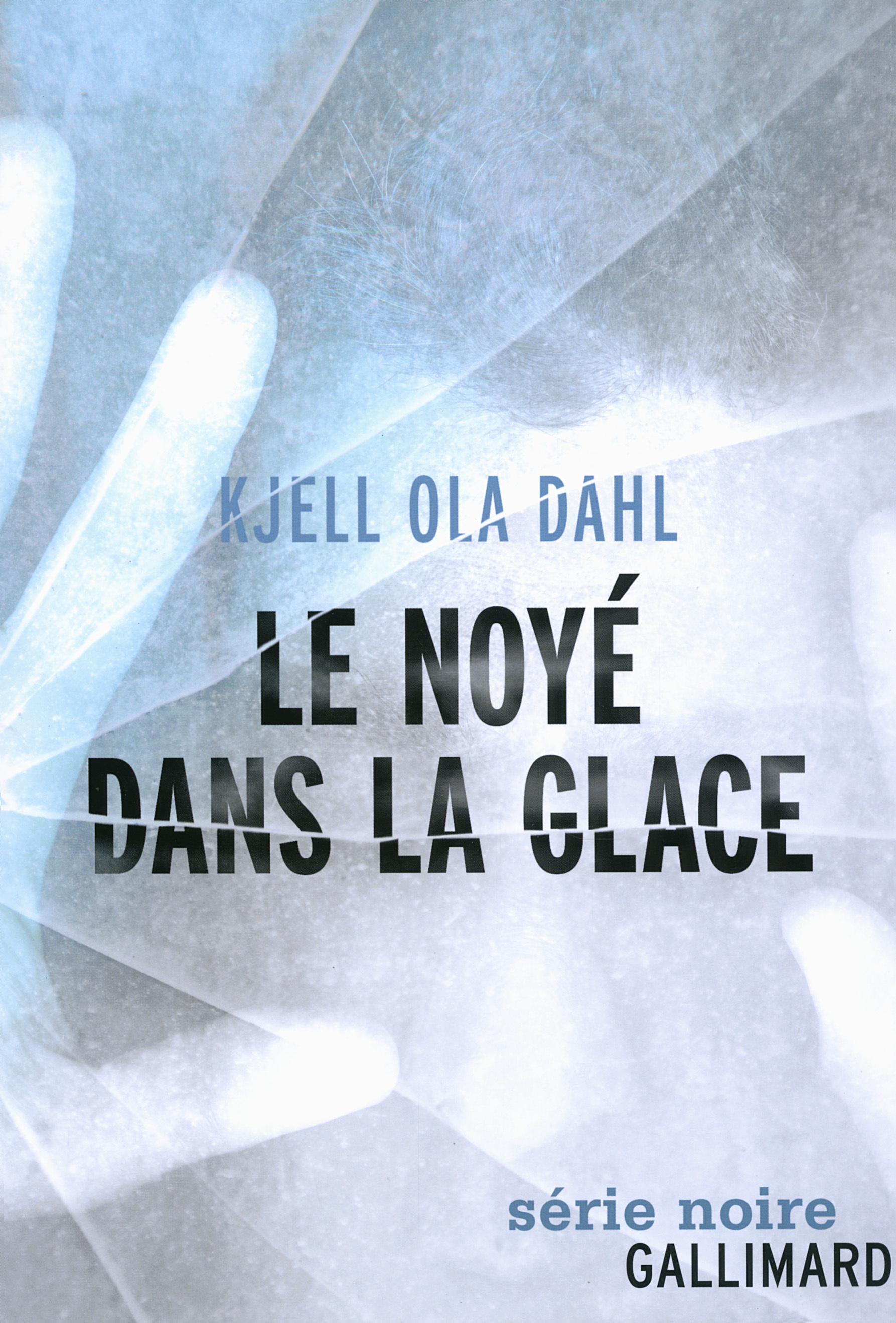 Le noyé dans la glace (9782070138814-front-cover)